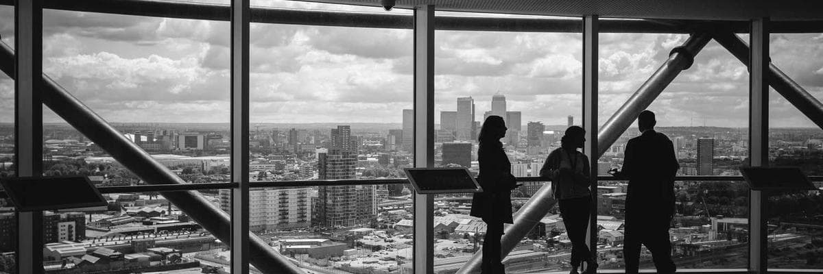 Lush green leaves background